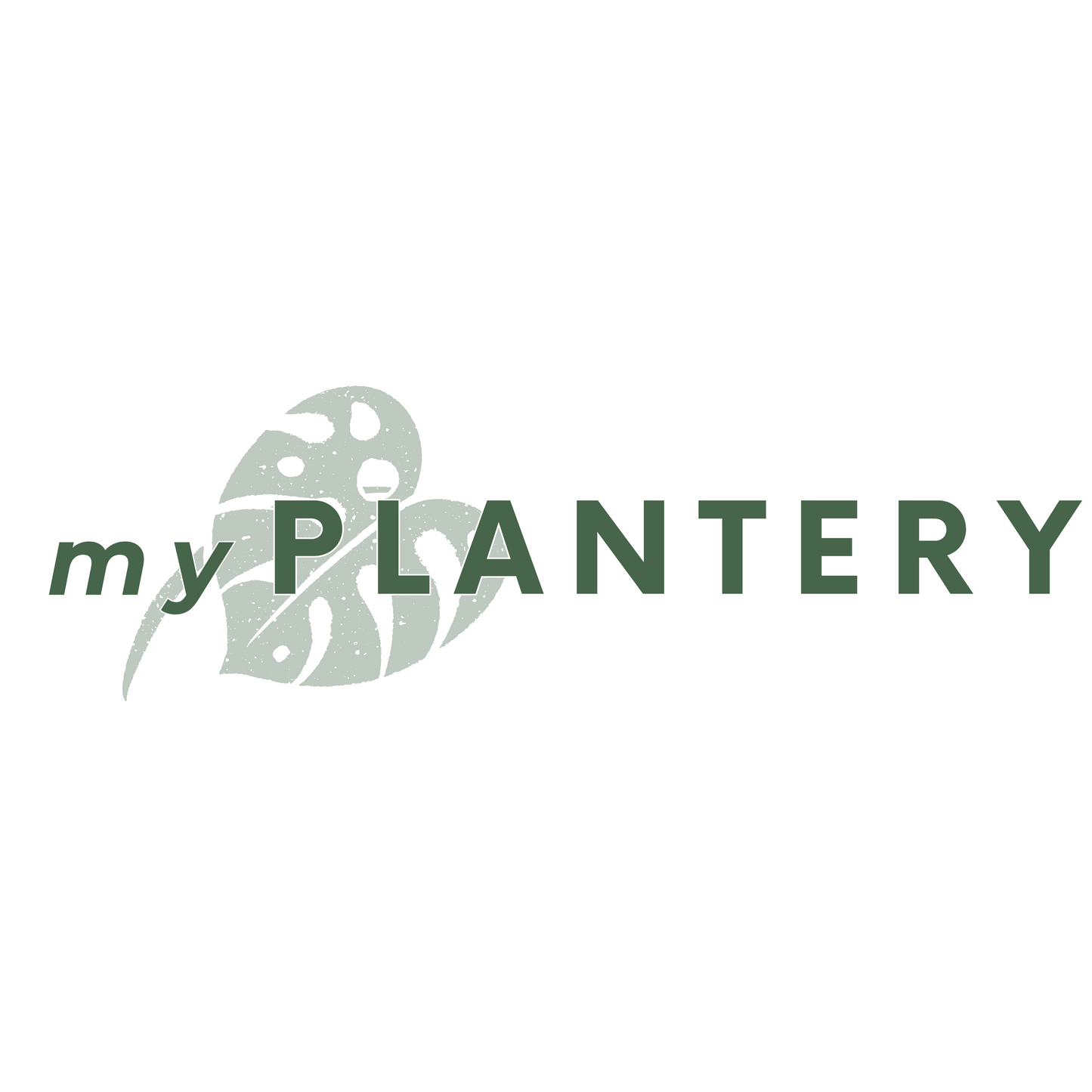 Pflanzenabo Kat. Set